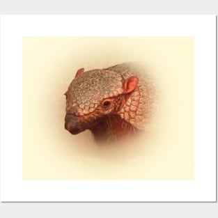 Armadillo Posters and Art